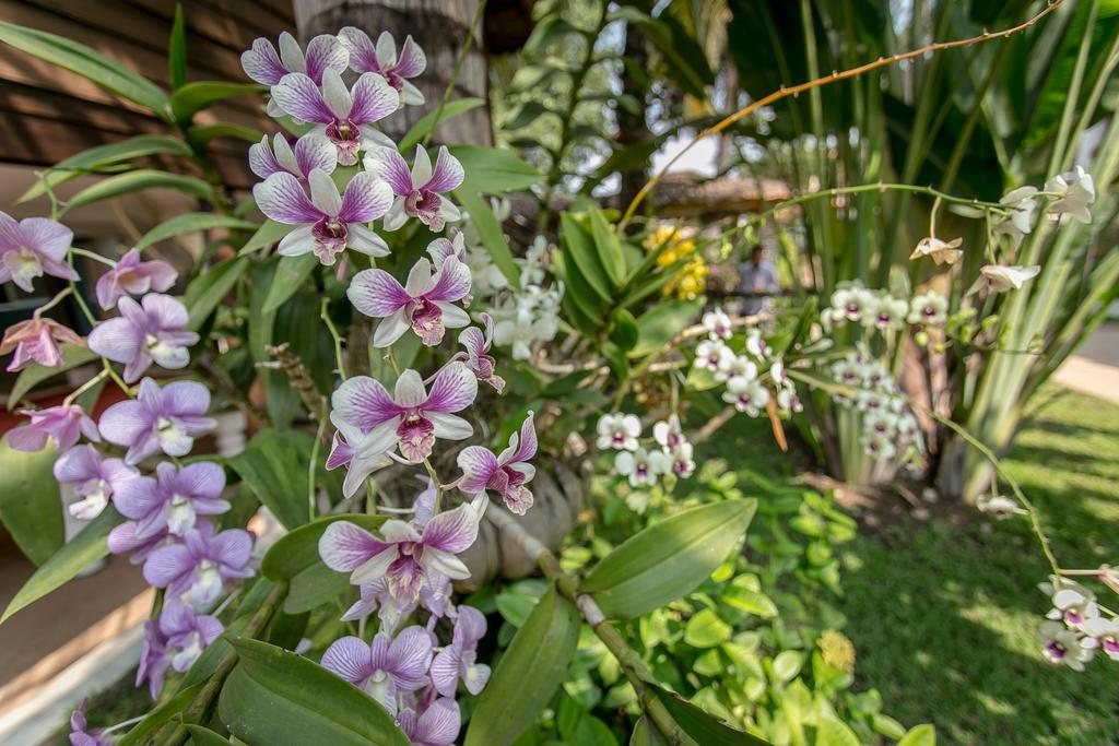 Apsara Suorkear Villa Sziemreap Kültér fotó